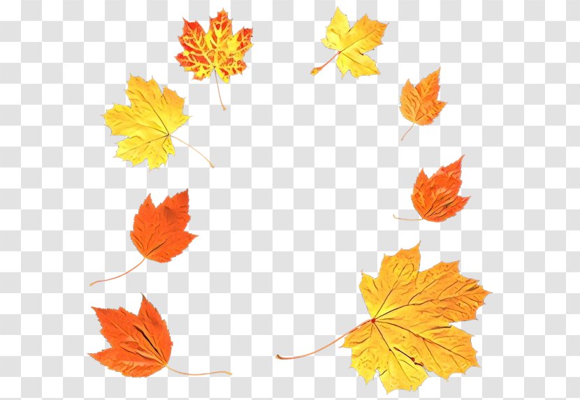 Maple Leaf - Yellow - Plane Transparent PNG