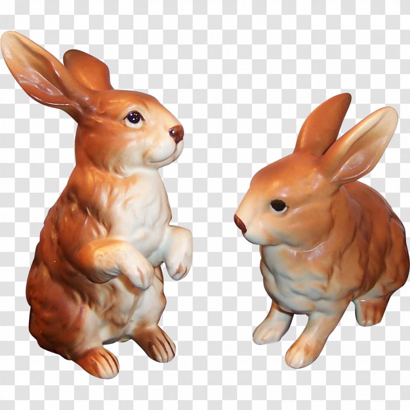Domestic Rabbit Hare Pet Animal - The Tale Of Peter Transparent PNG