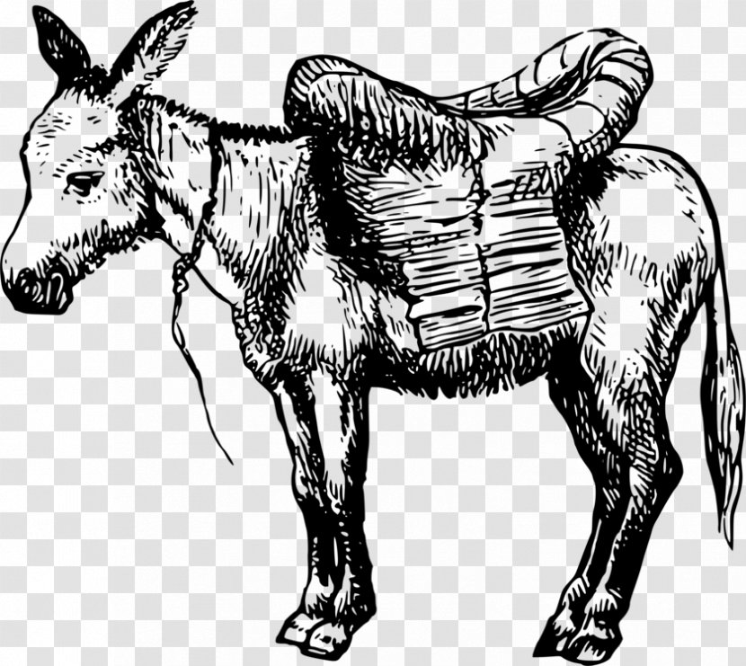 Donkey Drawing Vector Graphics Cartoon Clip Art - Goats - Patriotic Illustration Transparent PNG