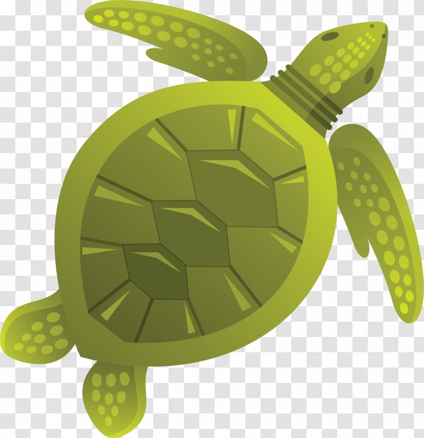 Sea Turtle Tortoise Jellyfish Clip Art - Reptile Transparent PNG