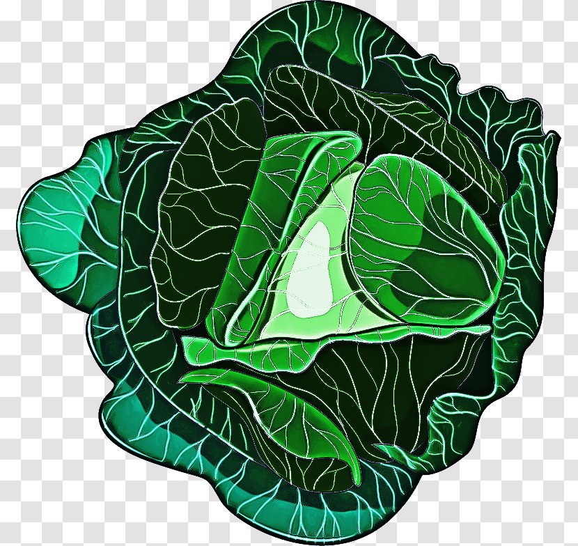 Green Leaf Logo - Kale Spinach Transparent PNG