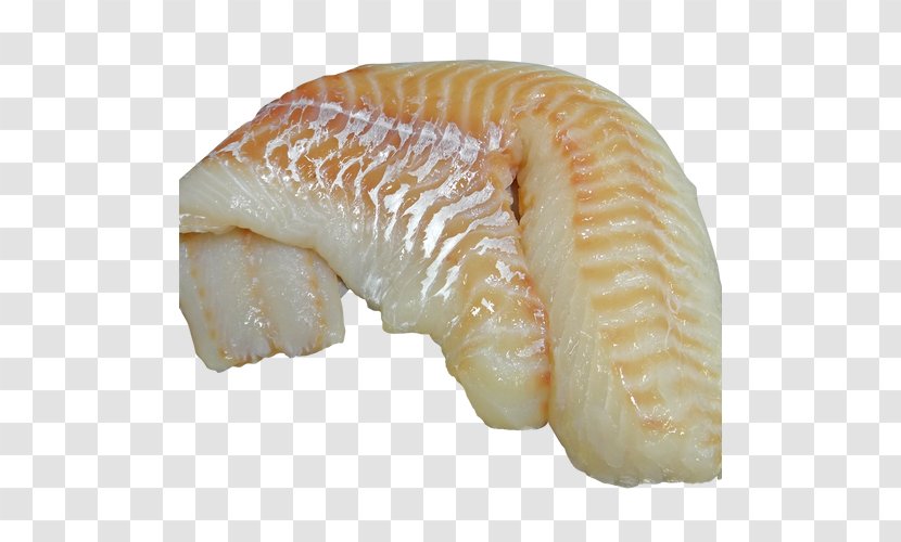 Iridescent Shark Cod Fish Meat Fillet Transparent PNG