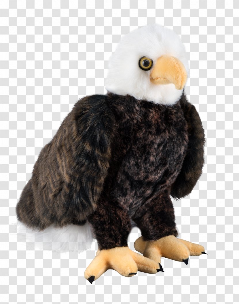 Bald Eagle Bird Of Prey Stuffed Animals & Cuddly Toys Transparent PNG