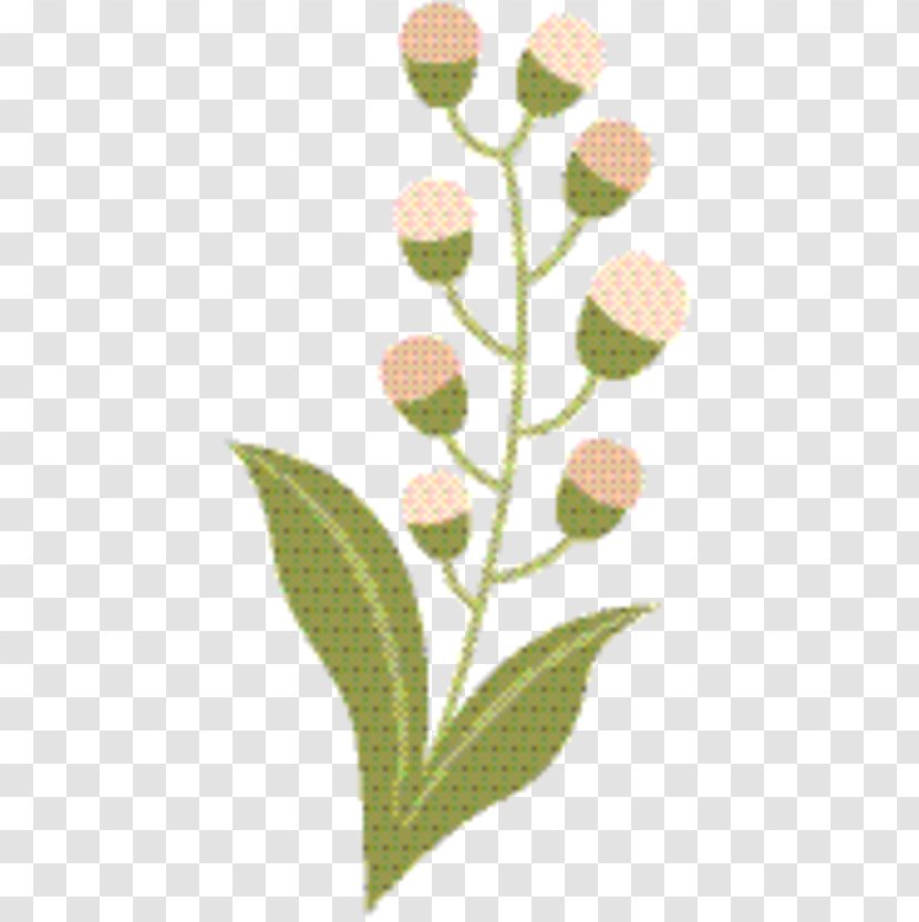 Flower Stem - Plants - Plant Transparent PNG