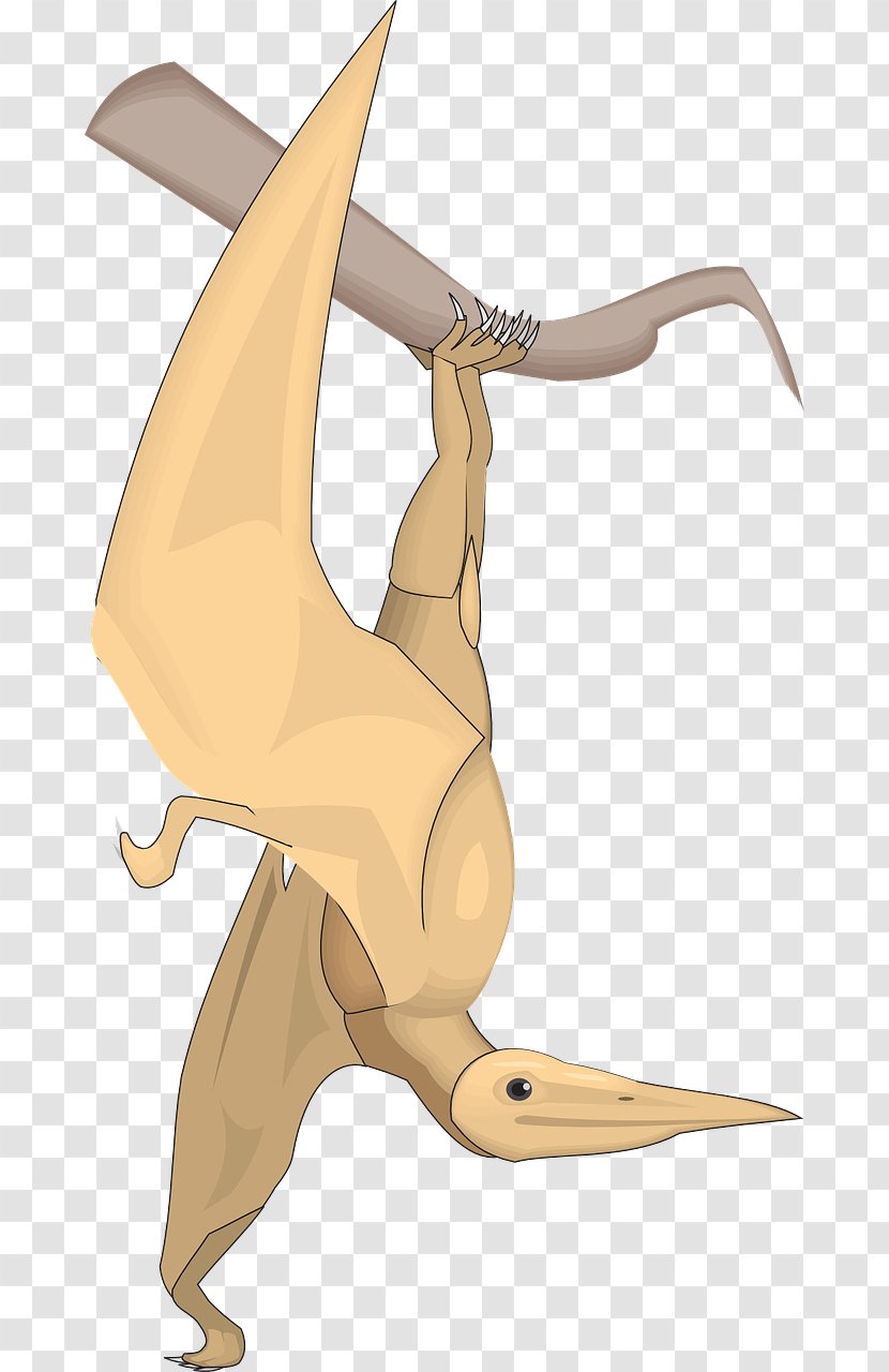 Bird Dinosaur Windows Metafile Clip Art Transparent PNG