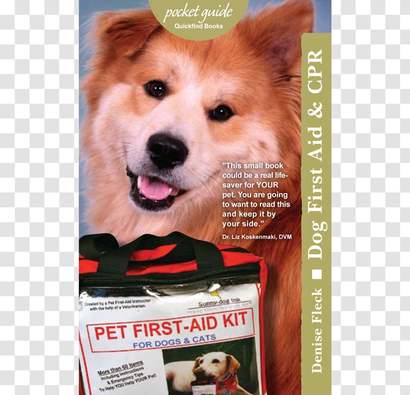 Dog First Aid & CPR Rescue Critters® Pet For Kids: Cats And Dogs Emergency Kits - Supplies - Guide Transparent PNG