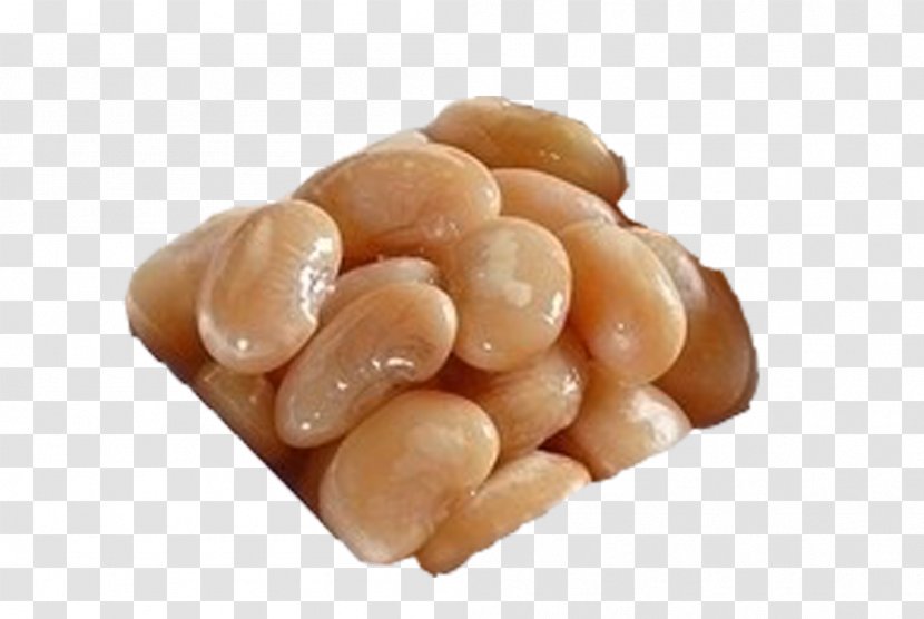 Salt Common Bean Kidney - Chicken Meat - Baked Beans Transparent PNG