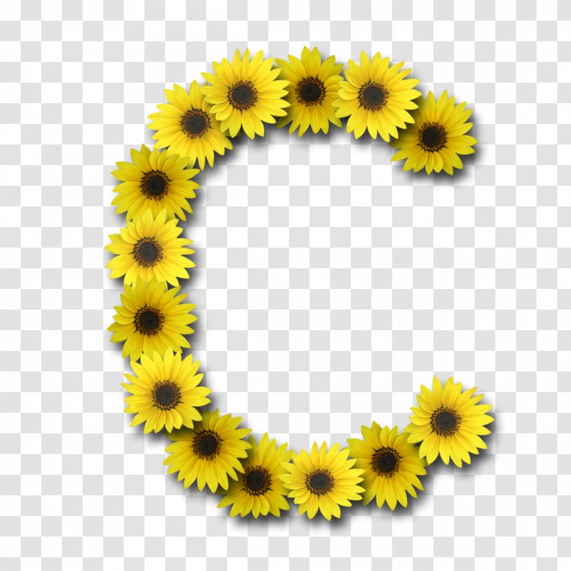 Letter Case Alphabet Font - Video Editing - Sunflower Transparent PNG