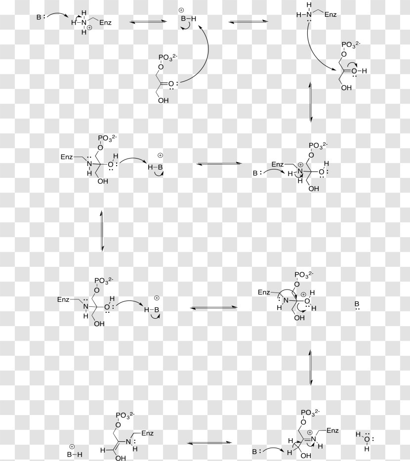 Line Drawing Point Angle /m/02csf - Monochrome Transparent PNG