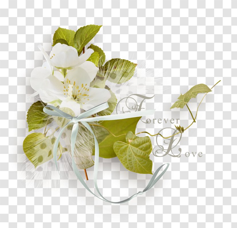 Clip Art - Floral Design - Green Flower Transparent PNG