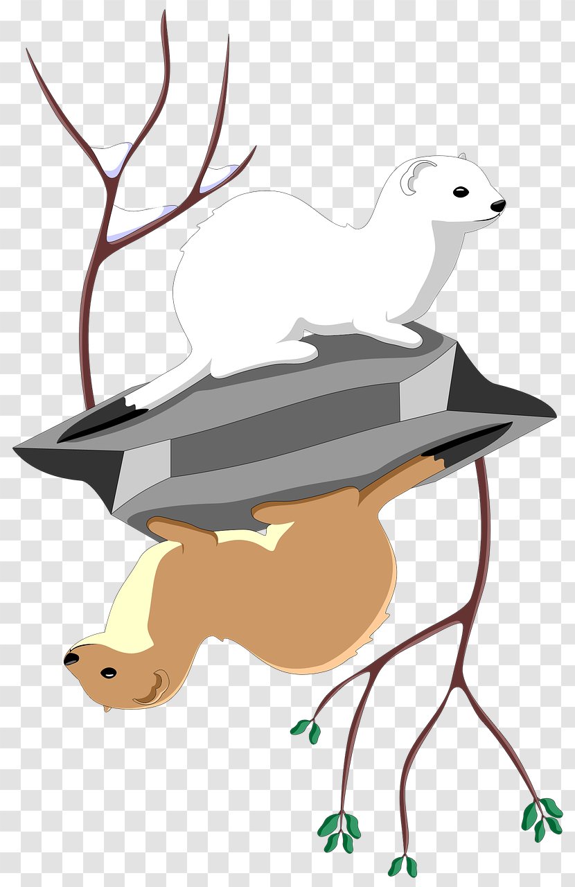 Stoat Stock.xchng Least Weasel Trentino Download - Silhouette - Ermine Banner Transparent PNG