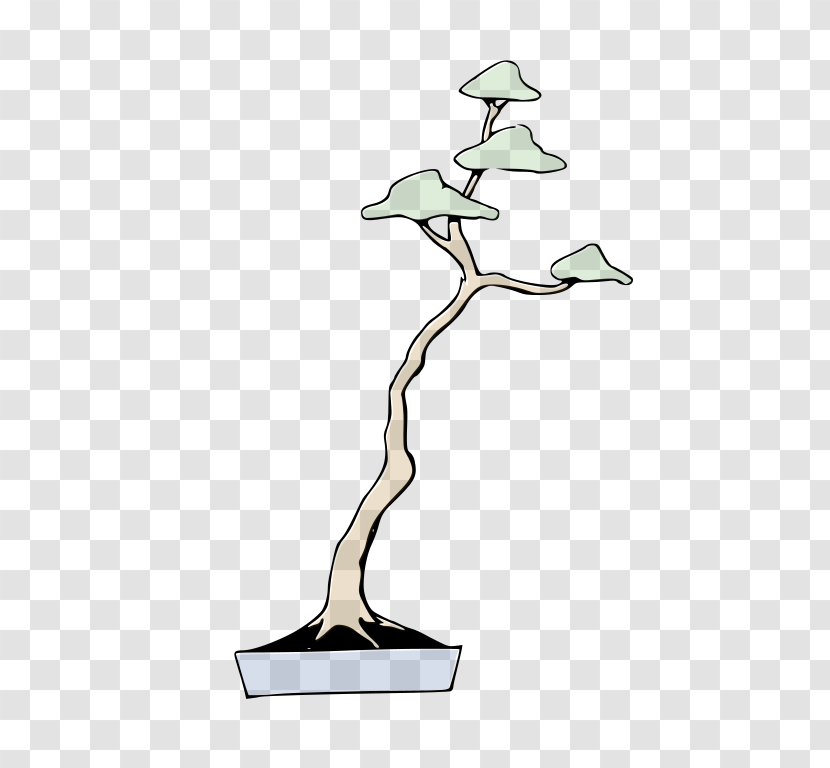 Bonsai Styles Tree Creating Penjing - Garden Transparent PNG