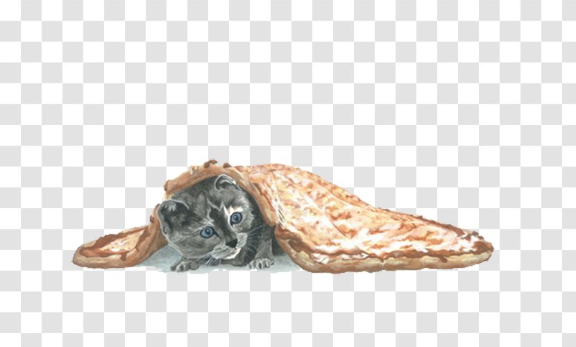 Cat Kitten Pizza Blanket - Blanketed Transparent PNG