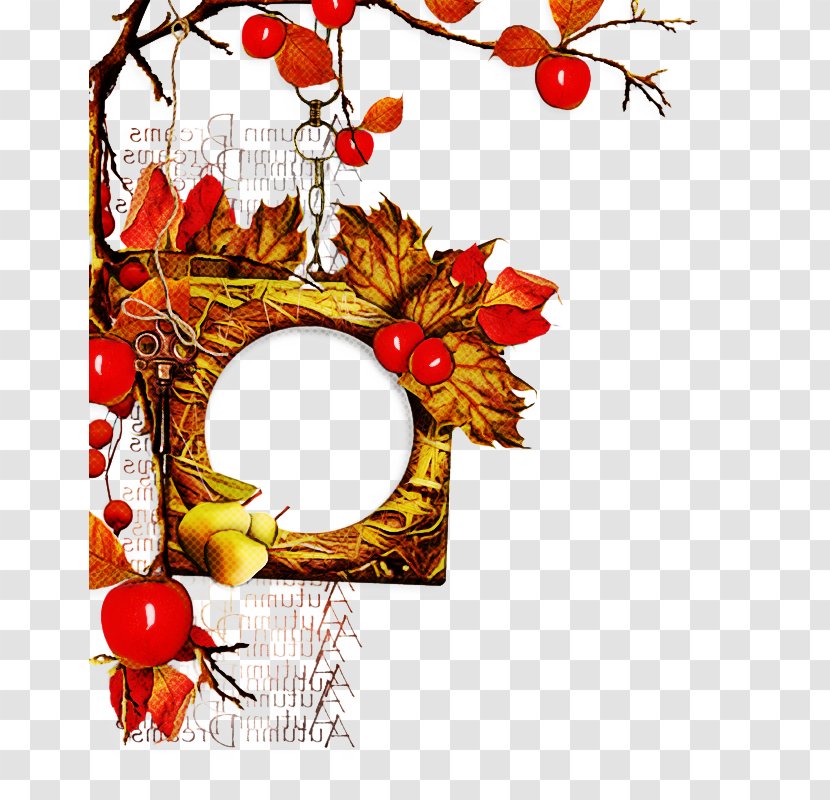 Christmas Decoration - Plant - Interior Design Transparent PNG