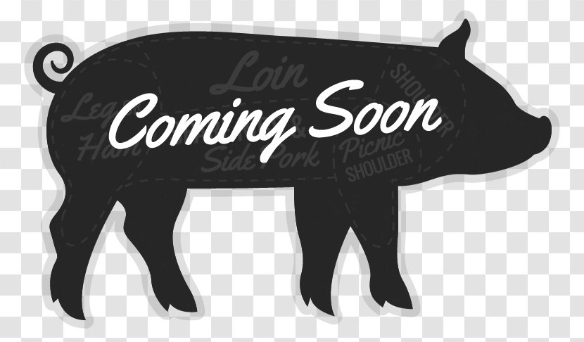 Pig Horse Logo Mammal Font Transparent PNG