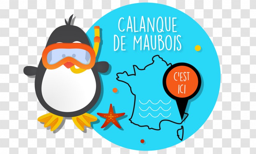 Calanque De Maupas Maubois Agay Plage Le Trayas Saint-Aygulf - Bird - Massif Des Calanques Transparent PNG
