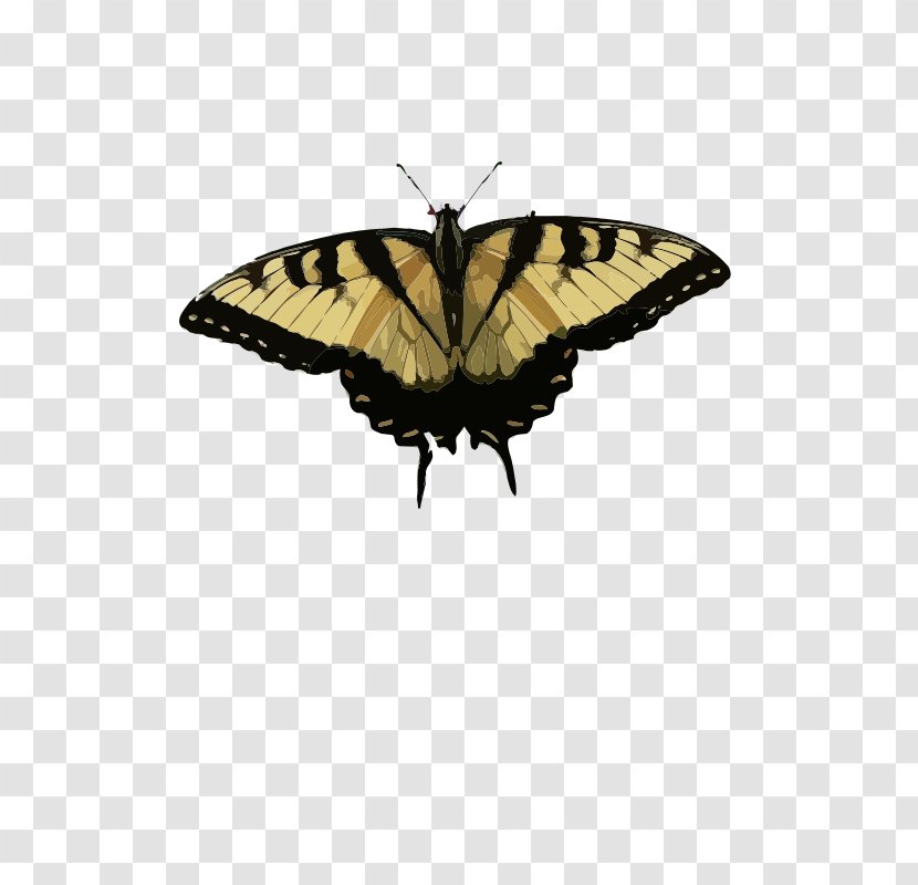Butterfly Eastern Tiger Swallowtail Malabar Banded Peacock Clip Art - Invertebrate Transparent PNG