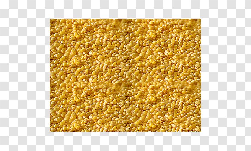 Foxtail Millet Pearl Proso Manufacturing - Export Transparent PNG
