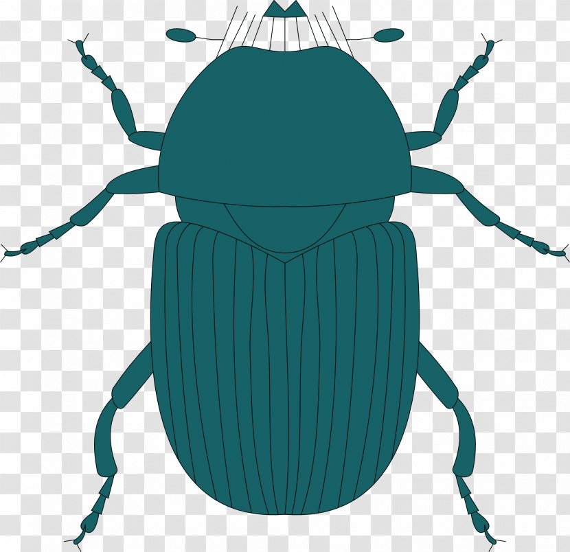 Volkswagen Beetle Clip Art Transparent PNG