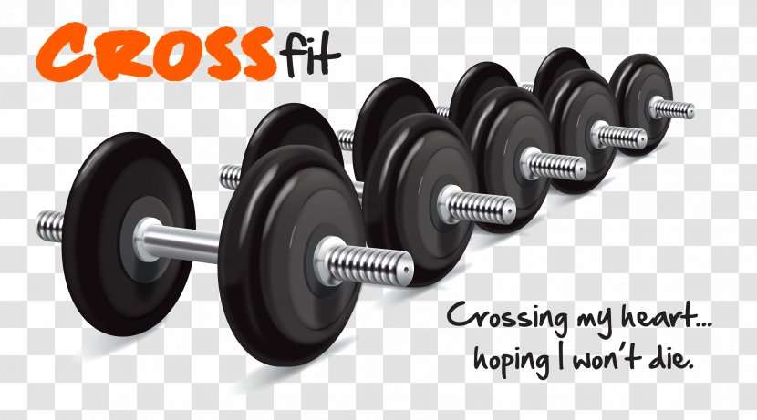 Weight Training Dumbbell Fitness Centre Physical Transparent PNG
