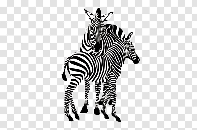 Zebra Image Illustration Animal - Icon Design - De Grevy Transparent PNG
