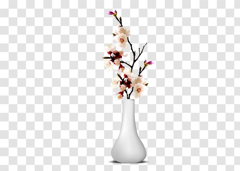 Vase Plum Blossom Flower Download - Poster Transparent PNG