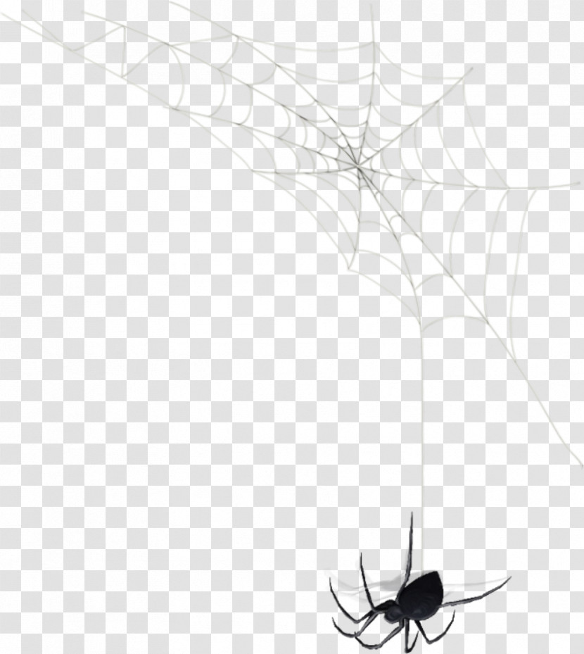 Spider Web Transparent PNG