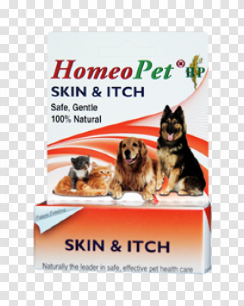 Itch Dog Cat Severe Anxiety Pyotraumatic Dermatitis Transparent PNG