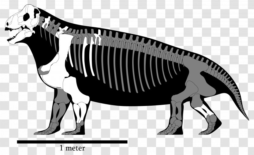 Spinosaurus Tyrannosaurus Megalosaurus Ceratosaurus Ulemosaurus - Terrestrial Animal - Reconstruction Transparent PNG