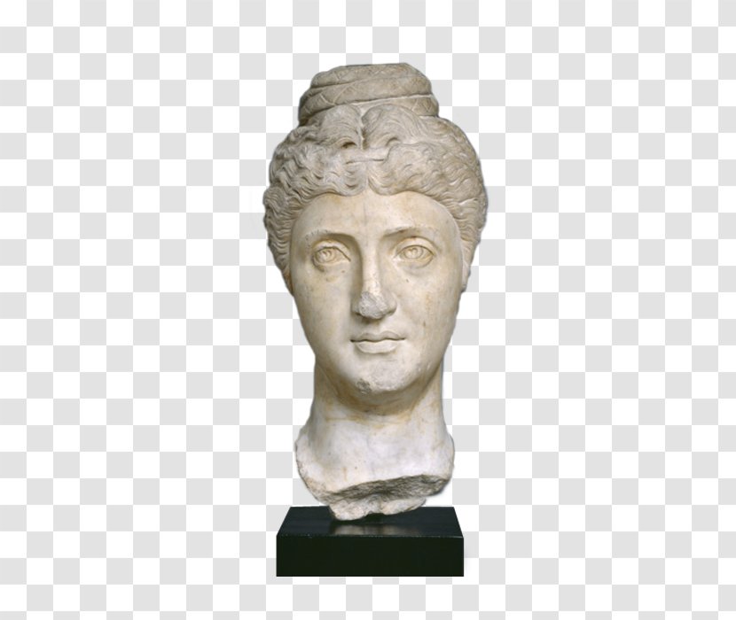 Antoninus Pius Bust Classical Sculpture Portrait - Marcus Annius Verus - Ancient History Transparent PNG