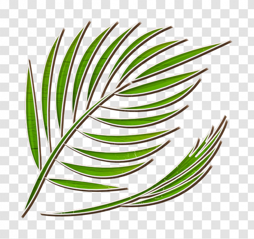 Summer Icon Palm Icon Transparent PNG