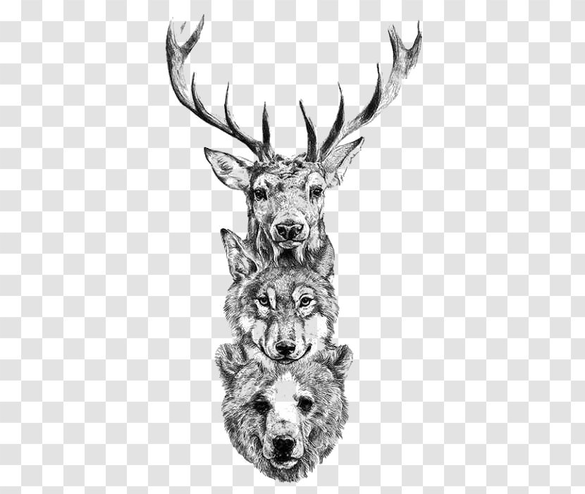 Deer Tattoo Bear Gray Wolf Drawing - Ink Transparent PNG