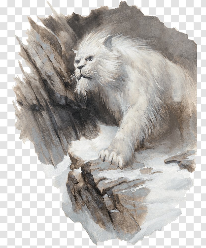 Whiskers Dungeons & Dragons Cat Storm King's Thunder Darkvision - Forgotten Realms Transparent PNG