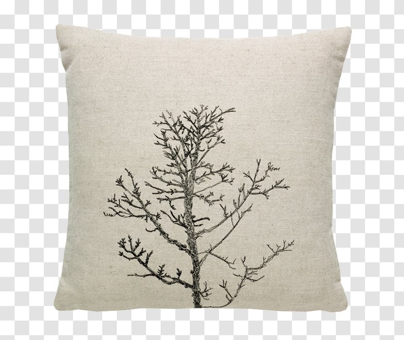 Cushion Throw Pillows Branch Tree - Winter - Pillow Transparent PNG
