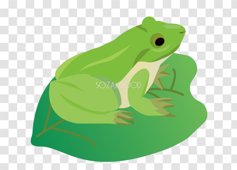 True Frog Toad Tree Leaf - Organism - Ai.zip Transparent PNG