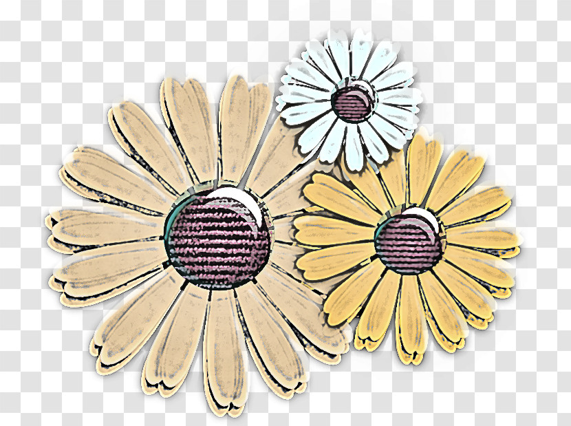 Daisy Transparent PNG