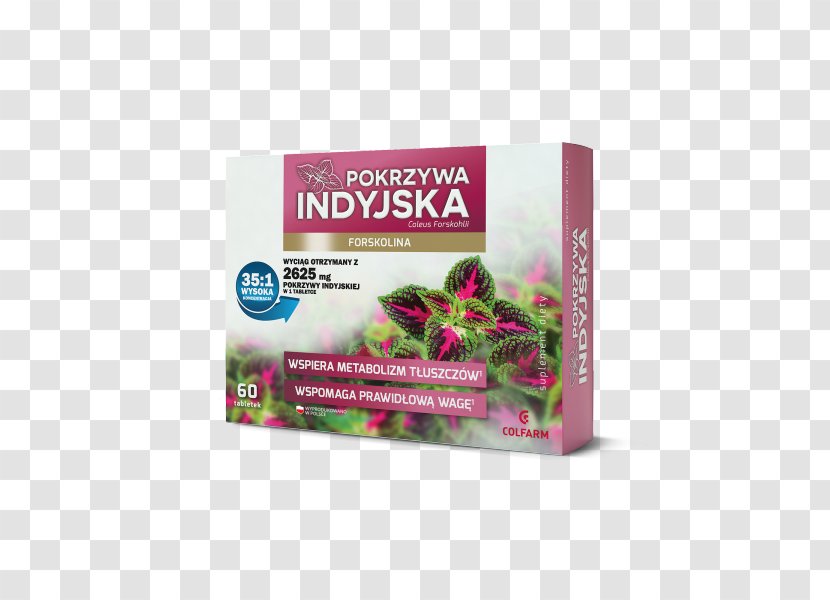 Dietary Supplement Plectranthus Barbatus Weight Loss Forskolin Tablet - Herbal Transparent PNG