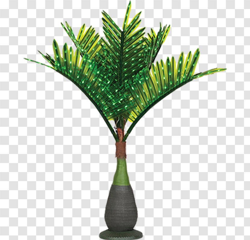 Lighting Hyophorbe Lagenicaulis Tree Washingtonia Robusta - Palm - Neon Christmas Transparent PNG