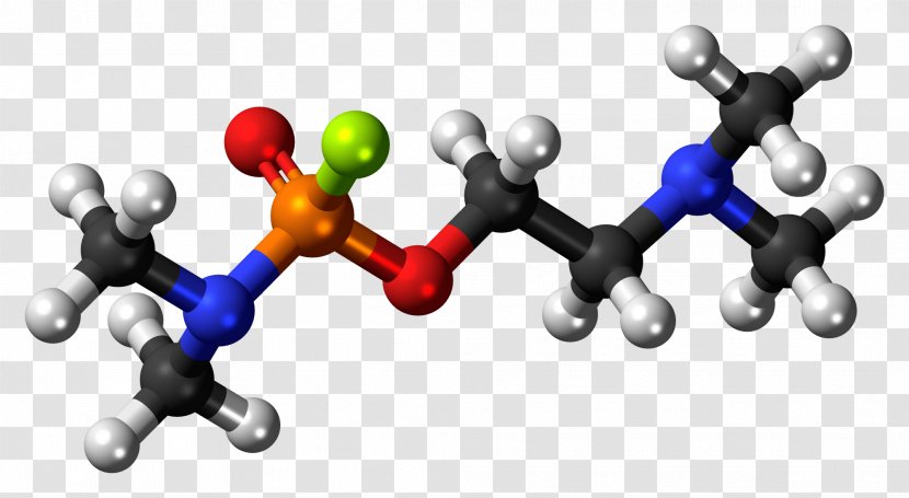 Adipic Acid Amyl Acetate Dicarboxylic EGTA - Nerve Transparent PNG