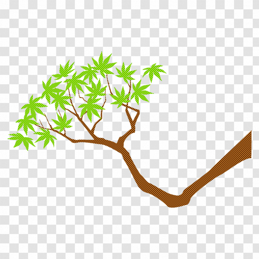 Maple Branch Maple Leaves Maple Tree Transparent PNG