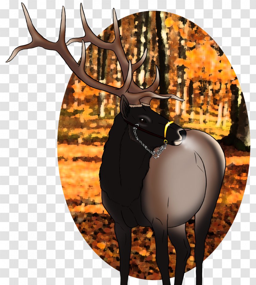 Elk Reindeer Antler Wildlife - Deer Transparent PNG