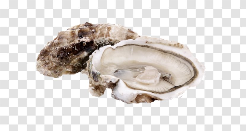 Oyster Plateau De Fruits Mer Food Clam Clip Art - Eating - Seashell Transparent PNG