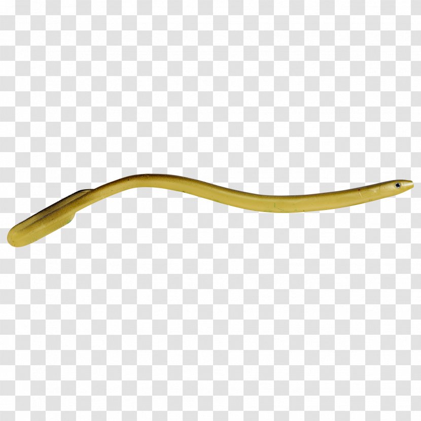 Eel Gummifisch Trout Industrial Design Transparent PNG