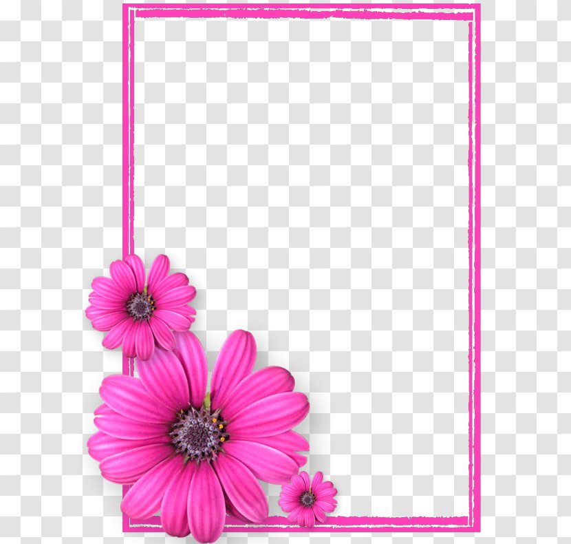 Picture Frame Pink Flowers - Gerbera - Flower Photos8 Transparent PNG