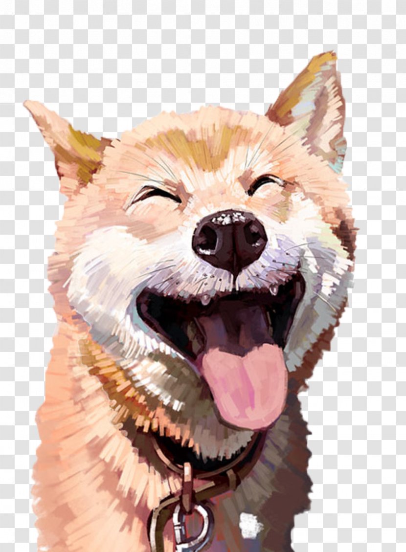 Akita Cat Husky Pet Illustration - Snout - Happy Picture Material Transparent PNG