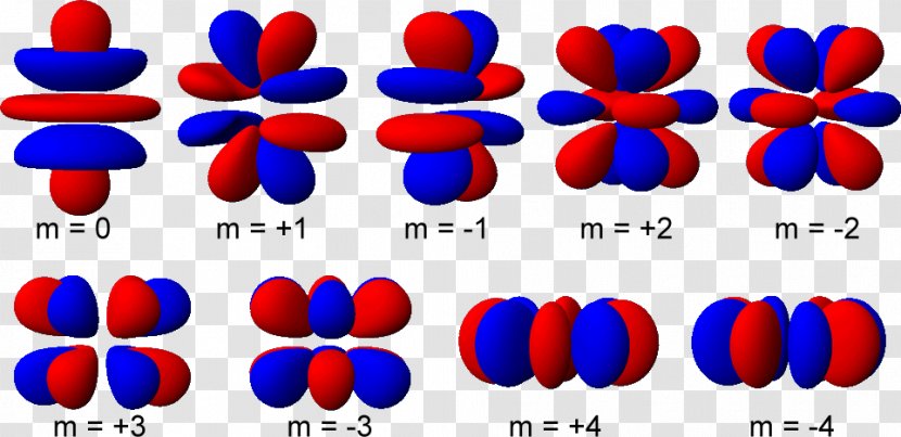 Atomic Orbital Magnetic Quantum Number Shape - Searah Jarum Jam Transparent PNG