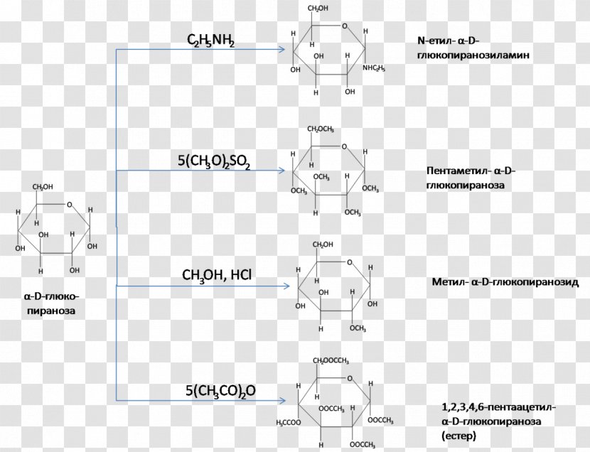 Cellulose Glucose Carbohydrate Esterification Chemistry - Number - Subtilis Transparent PNG