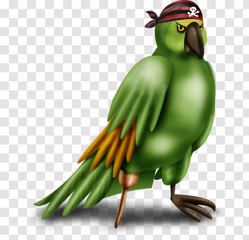 Macaw Bird Parrot Budgerigar Beak - Perico Transparent PNG