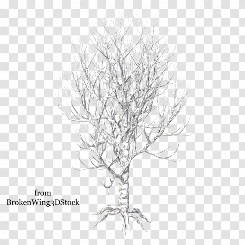 Drawing Trees Clip Art - Leaf - Winter Transparent PNG