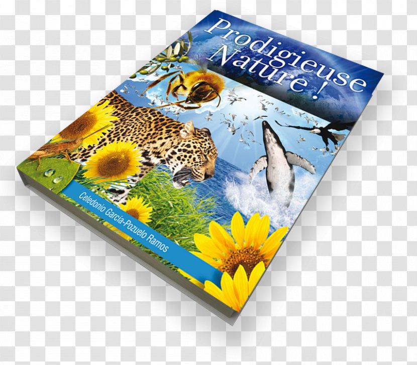 Nature Book Flora Bible Science - Advertising Transparent PNG